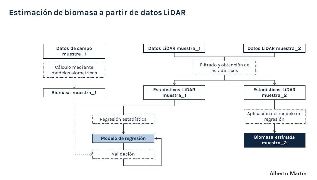 Estimación de biomasa a partir de datos LiDAR. Esquema de la metodología