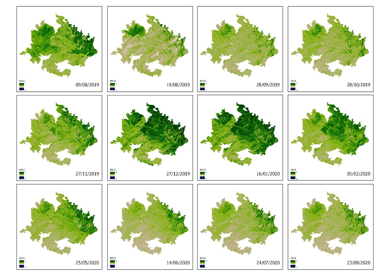 Severidad y posterior recuperación de la vegetación afectada por el incendio forestal de Gran Canaria de 2019 a través de datos Sentinel-2